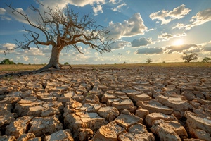 Acqua: Gardini, agricoltura settore economico più colpito, nel 2022 danni per 900 milioni