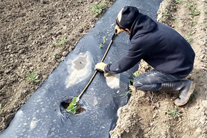 Disagio giovanile, via al progetto Kombolela