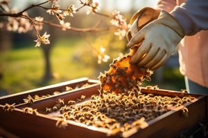 Giornata mondiale delle api, Terriaca: “Serve un patto con i consumatori per il futuro del settore”
