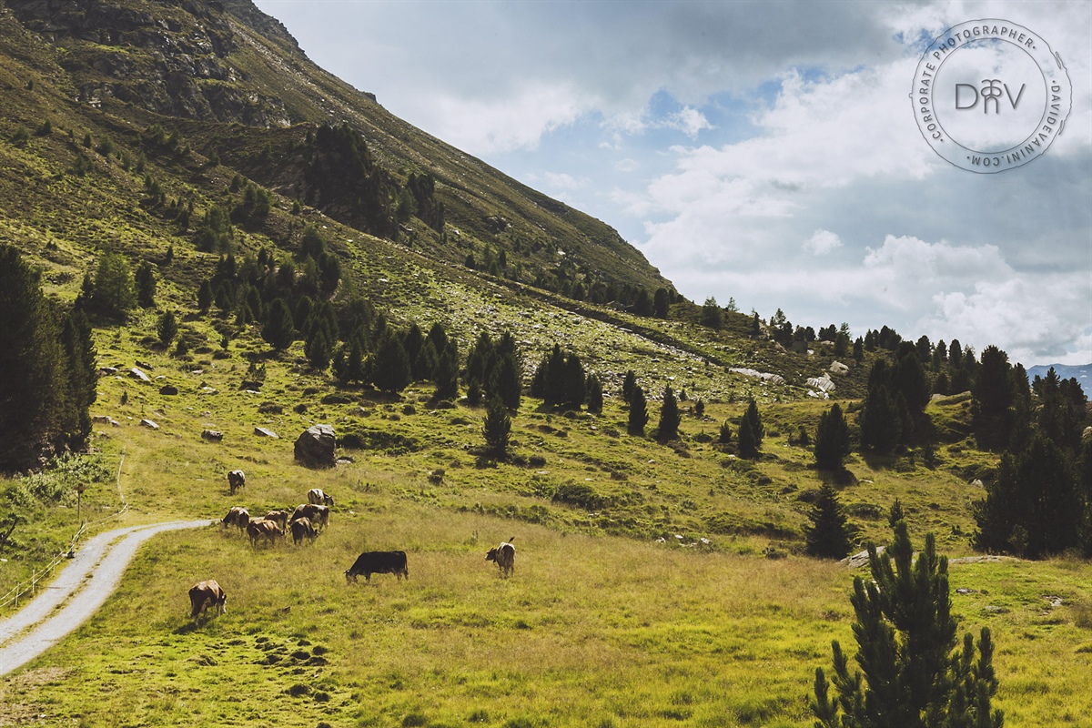 Legge ripristino natura, Fedagripesca, “Una norma a lungo osteggiata ottiene via libera grazie a un solo voto decisivo e con le istituzioni UE a fine legislatura”
