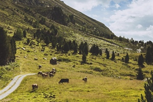 Legge ripristino natura, Fedagripesca, “Una norma a lungo osteggiata ottiene via libera grazie a un solo voto decisivo e con le istituzioni UE a fine legislatura”