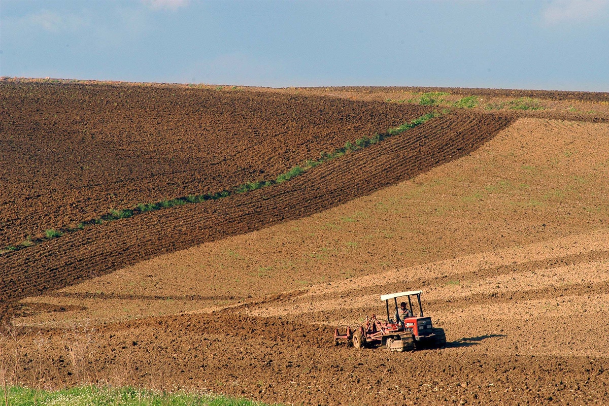 Agricoltura, siccità in Sicilia, danni per oltre 2.7 miliardi, occorre intervento del Governo