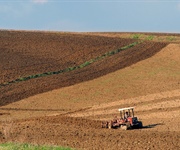 Agricoltura, siccità in Sicilia, danni per oltre 2.7 miliardi, occorre intervento del Governo