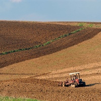 Agricoltura, siccità in Sicilia, danni per oltre 2.7 miliardi, occorre intervento del Governo