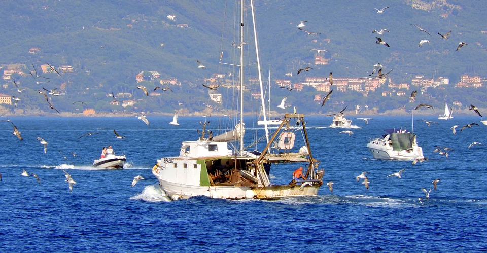 Caldo, granchio blu e vermocane frenano la pesca