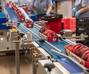 Agrintesa investe in un nuovo impianto innovativo per la lavorazione di pesche, nettarine piatte e pere