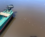Orbetello, Fedagripesca Toscana: “Bene, l'intervento della Regione, ma per i problemi della Laguna servono soluzioni strutturali”