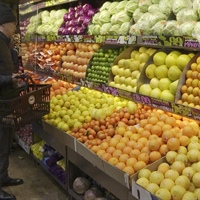 Esperto cooperativo: le cooperative agricole, tra ristorni, conferimenti e servizi ai soci