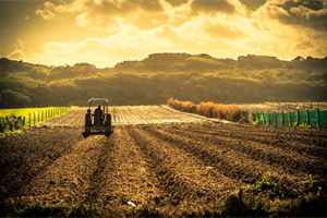 Nuova visione dell’agricoltura, Drei: “Bene approccio meno punitivo della Ue, ma pesa l’assenza di misure per l’aggregazione”