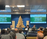 Le foreste italiane assorbono 46 milioni di tonnellate di co2, tre volte e mezzo le emissioni di Milano e provincia