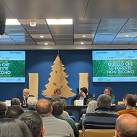 Le foreste italiane assorbono 46 milioni di tonnellate di co2, tre volte e mezzo le emissioni di Milano e provincia