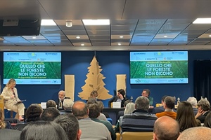 Le foreste italiane assorbono 46 milioni di tonnellate di co2, tre volte e mezzo le emissioni di Milano e provincia