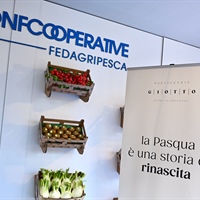 Federsolidarietà: Nelle nostre cooperative di inserimento lavorativo oltre 3 mila gli occupati nell'agricoltura sociale, almeno 350 sono detenuti ed ex detenuti