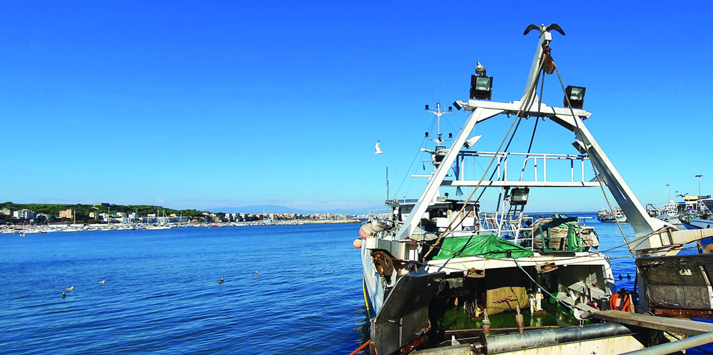 Pesca, al via iter parlamentare per riforma delle sanzioni, accolte molte delle modifiche sollecitate da Confcooperative