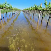 Dl Alluvione «Si da respiro a imprese colpite. Grazie al governo che ha ascoltato nostre richieste»
