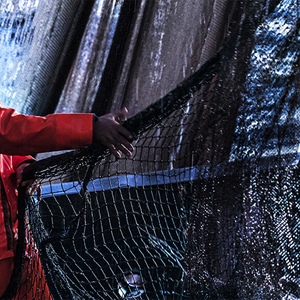 Fondo solidarietà pesca approvato: Fedagripesca avverte, “senza risorse oltre il 2025 è misura a metà”