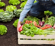 Agricoltura biologica, al via lo sportello Cooperabio