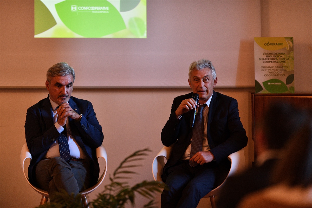 Agricoltura, la cooperazione necessaria per essere competitivi sul mercato