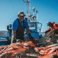 CCNL pesca cooperativa, Fedagripesca: più tutele per i soci lavoratori e adeguamenti salariali contro inflazione e fuga da settore
