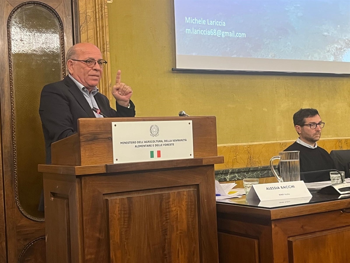 Svolta sul piano FAO-CGPM: al MASAF riparte il dialogo per il futuro della piccola pesca