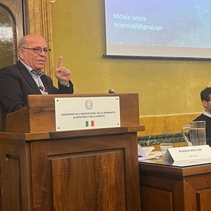 Svolta sul piano FAO-CGPM: al MASAF riparte il dialogo per il futuro della piccola pesca