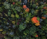 Forestali, raggiunta intesa su ccnl