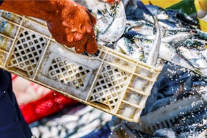 CCNL personale non imbarcato: al via il tavolo di rinnovo