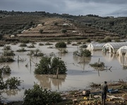 Sicilia, agricoltura devastata dal ciclone: le cooperative chiedono sostegno reale