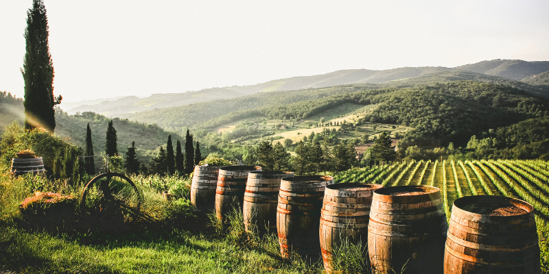 Vino, Rigotti (Fedagripesca): Bene il via libera del Parlamento Ue al pacchetto di misure ma risultato solo parziale