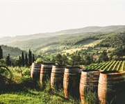 Vino, Rigotti (Fedagripesca): Bene il via libera del Parlamento Ue al pacchetto di misure ma risultato solo parziale