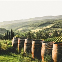 Vino, Rigotti (Fedagripesca): Bene il via libera del Parlamento Ue al pacchetto di misure ma risultato solo parziale