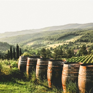 Vino, Rigotti (Fedagripesca): Bene il via libera del Parlamento Ue al pacchetto di misure ma risultato solo parziale