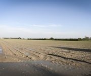 DL Maltempo, Gardini: «Misure concrete di sostegno alle comunità colpite»