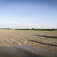 DL Maltempo, Gardini: «Misure concrete di sostegno alle comunità colpite»