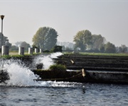 Decreto proroga al 31 dicembre 2026 l’obbligo di polizza catastrofi per settore ittico