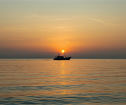 Giornata Mare: Fedagripesca, 85% giovani lo ama ma solo 15% conosce sbocchi occupazionali