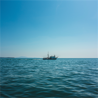 Pesca, via libera definitivo a riforma sanzioni. Fedagripesca: "Vince proporzionalità"