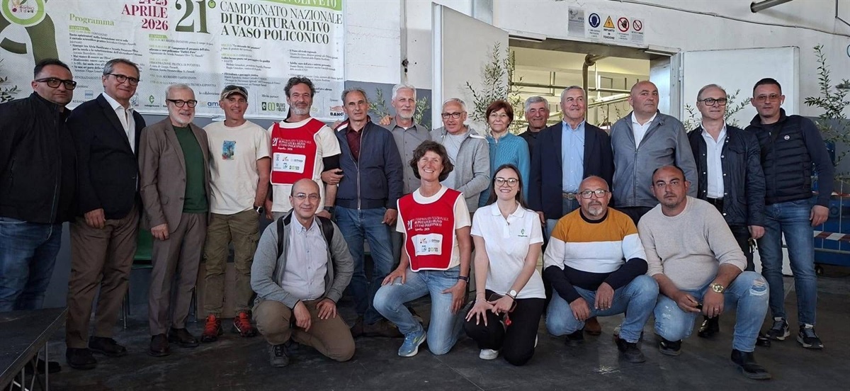 Basilicata, Grimolizzi: "Cooperazione e filiera per il futuro dell'olivicoltura"