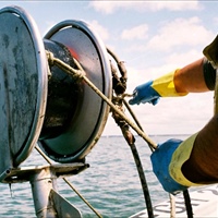 Ddl Mare, Fedagripesca: arrivano i bonus assunzioni e semplificazioni per la pesca