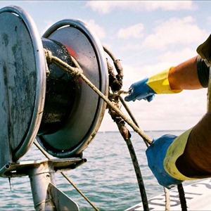 Ddl Mare, Fedagripesca: arrivano i bonus assunzioni e semplificazioni per la pesca