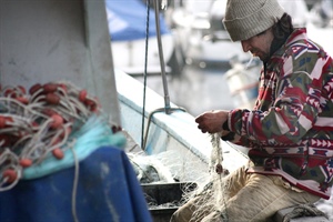 Tiozzo (Confcooperative): Masaf accelera su aiuti pesca contro caro gasolio