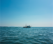 Giornata degli Oceani, Confcooperative: “La crisi dell’AMOC minaccia Mediterraneo e pesca italiana”