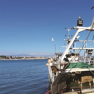 Pesca: da Feampa e fondi nazionali oltre 70 milioni contro caro-carburante e calamità naturali