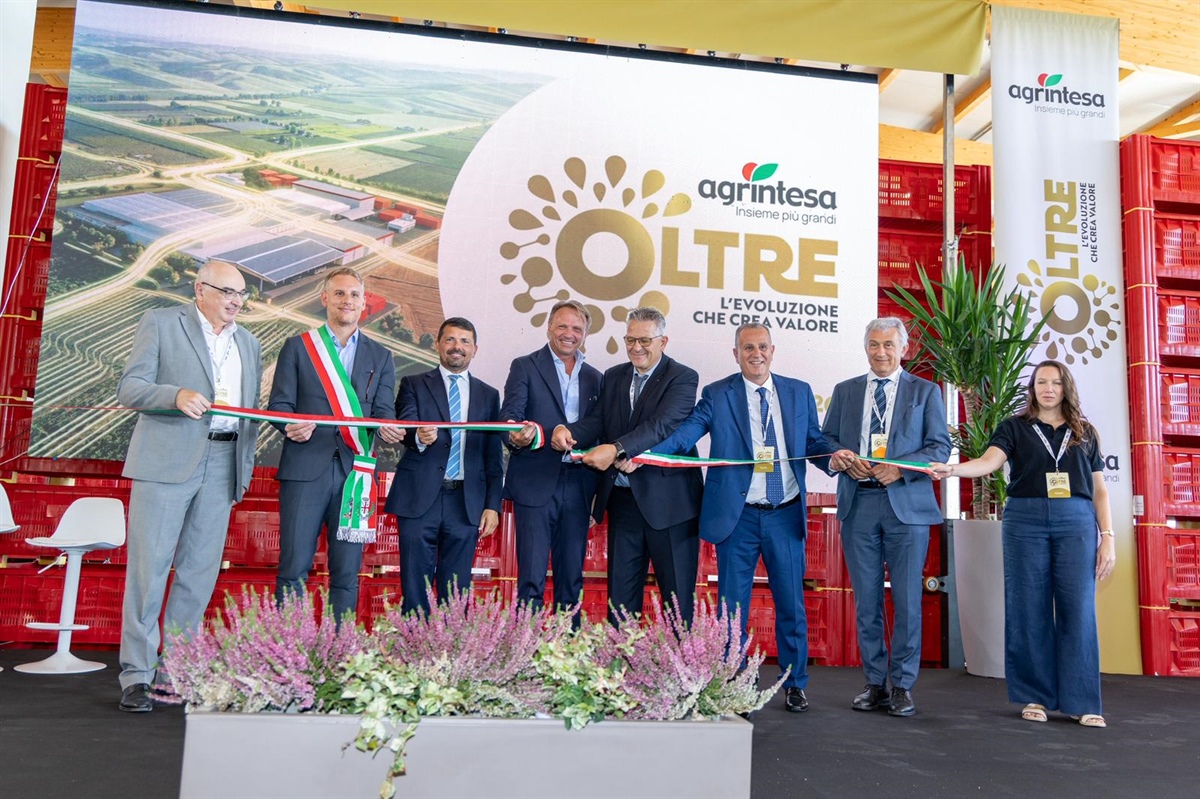Agrintesa Guarda “Oltre”: a Castel Bolognese il polo europeo del kiwi