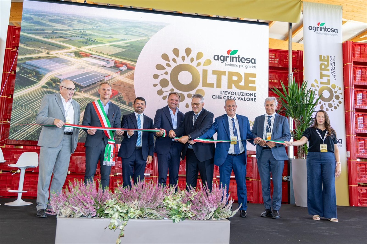 Agrintesa Guarda “Oltre”: a Castel Bolognese il polo europeo del kiwi