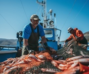 Pesca: Tiozzo (Confcooperative), “Cambiale azzurra, ossigeno contro caro-gasolio e per dare liquidità alle imprese”