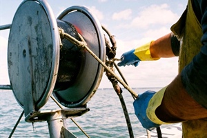 Tiozzo (Confcooperative): «Per pesca e acquacoltura servono pragmatismo e misure concrete»