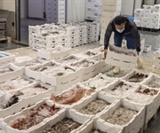 Natale, a tavola domina il made in Italy, con 435 mln consumi al top per il pesce