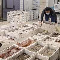 Natale, a tavola domina il made in Italy, con 435 mln consumi al top per il pesce