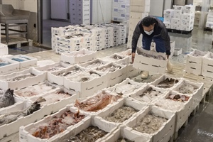 Natale, a tavola domina il made in Italy, con 435 mln consumi al top per il pesce